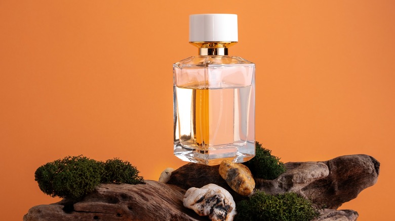 Captivating Trails: A Walk Through Women’s Oud Perfume History