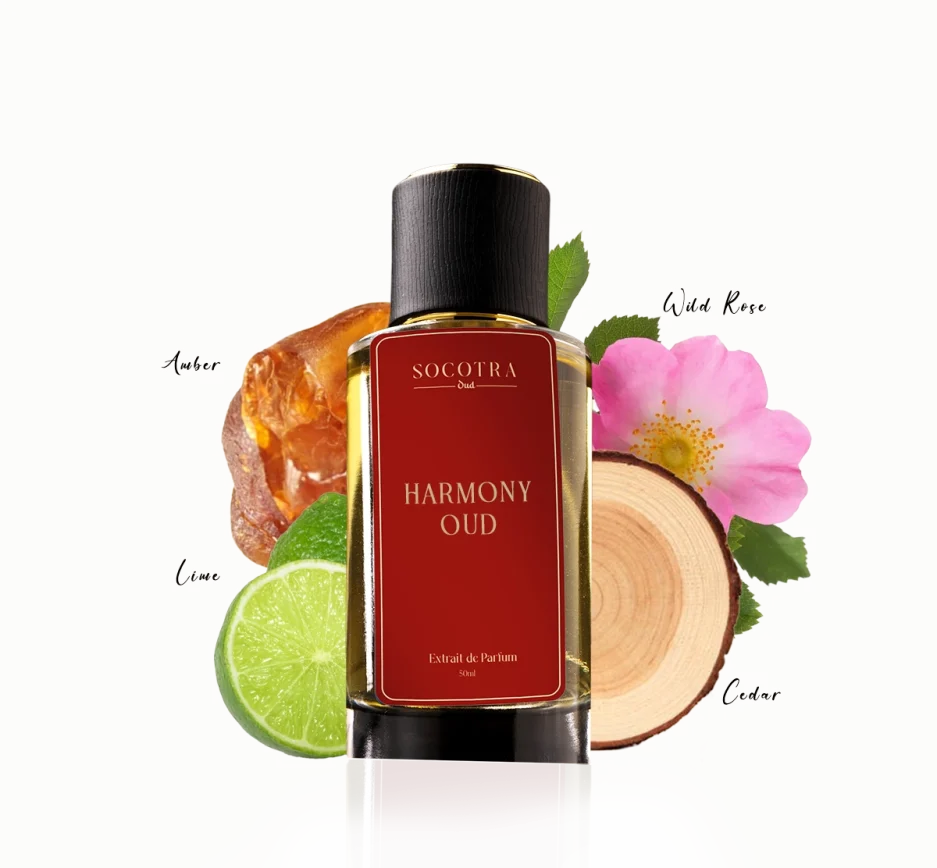 Exploring the Allure of Oud Perfume for Women